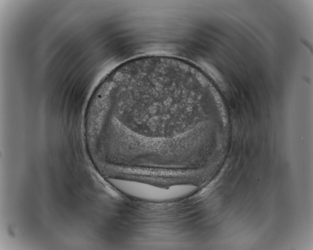 X0000097461240200803141844