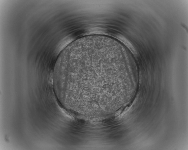 X0000097461241200803141844