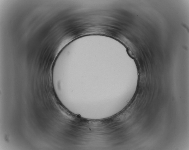 X0000097461242200803141844