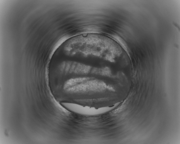 X0000097461243200803141844