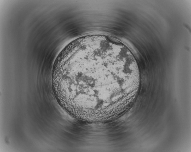 X0000097461244200803141844