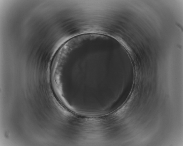 X0000097461246200803141844