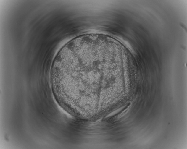 X0000097461247200803141844