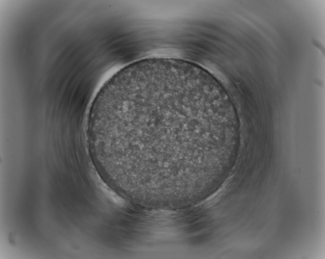 X0000097461248200803141844