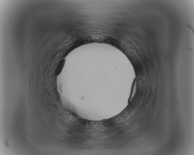 X0000097461249200803141844