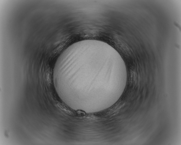 X0000097461250200803141844