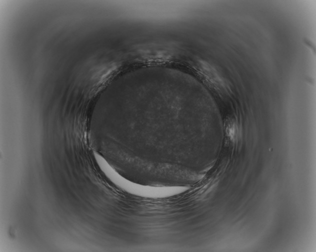 X0000097461252200803141844