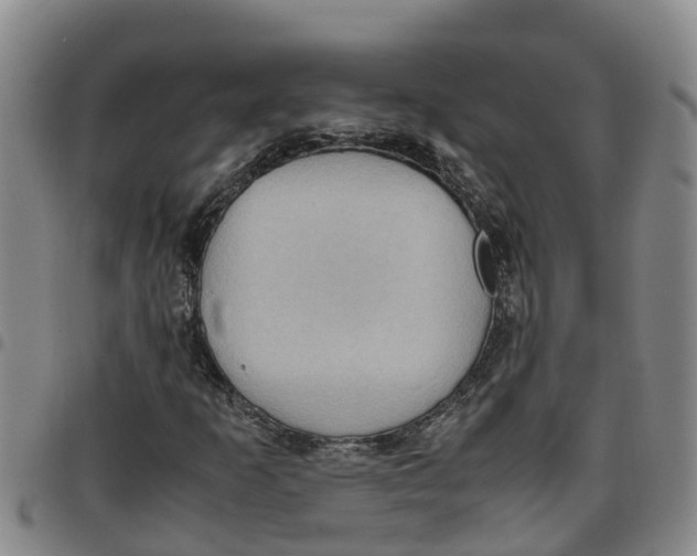 X0000097461253200803141844