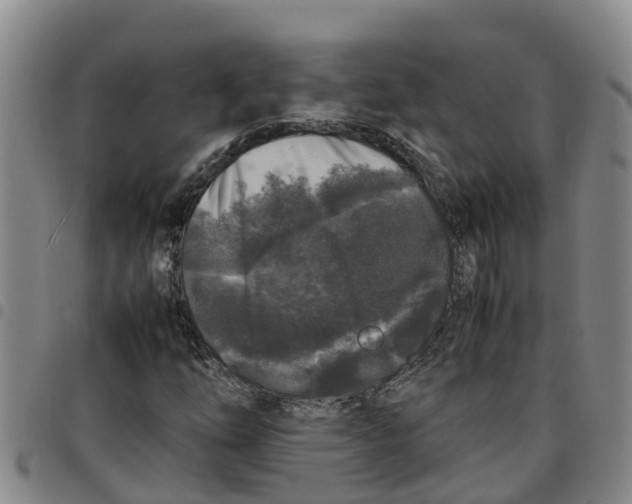 X0000097461254200803141844