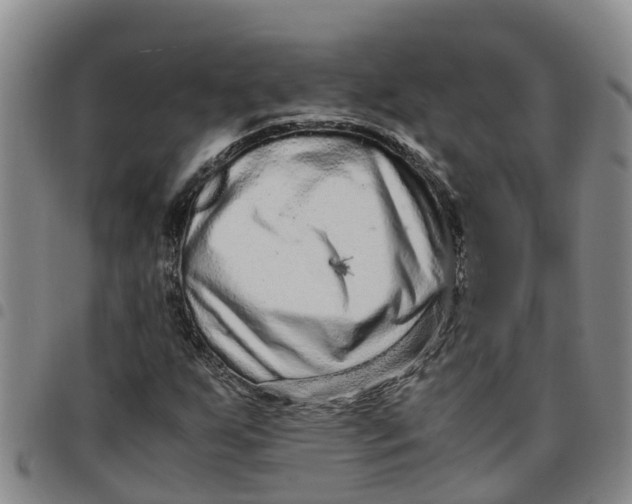 X0000097461255200803141844