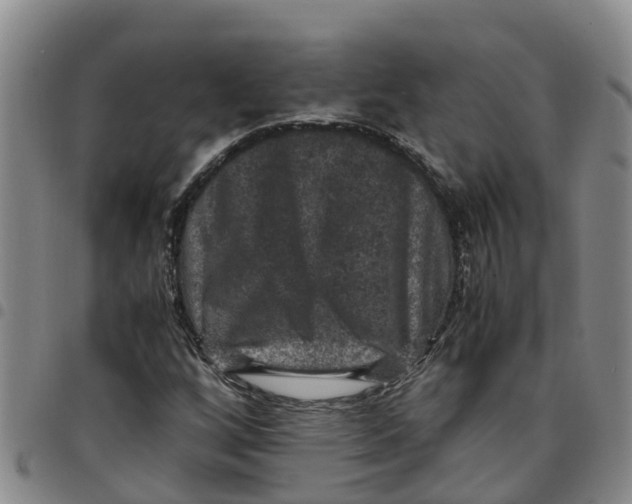 X0000097461256200803141844