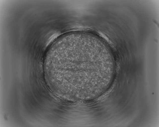 X0000097461259200803141844