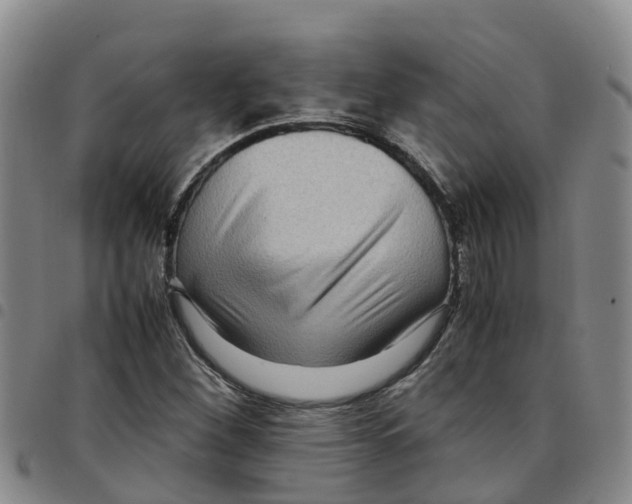 X0000097461260200803141844