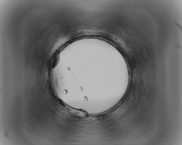 X0000097461261200803141844