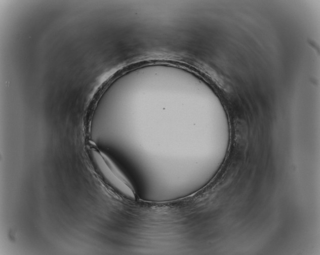 X0000097461264200803141843