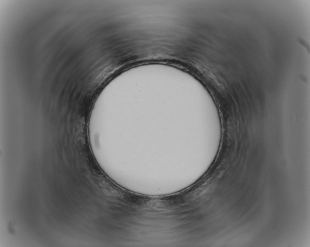 X0000097461265200803141843