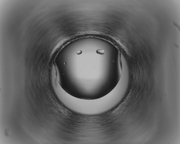 X0000097461266200803141843