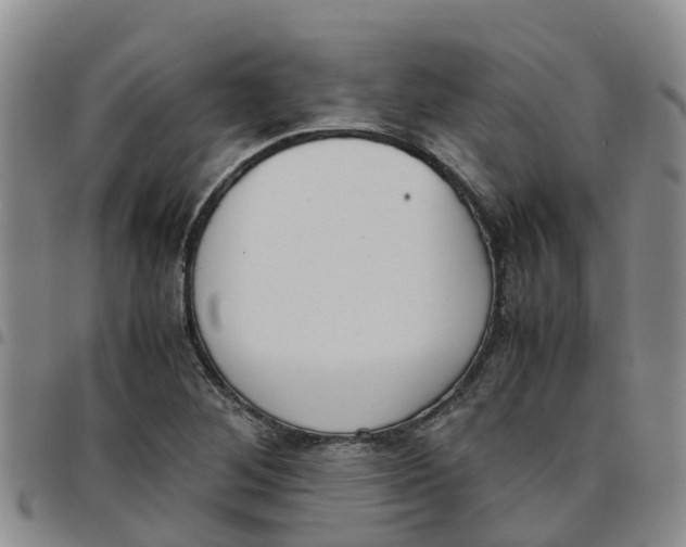 X0000097461268200803141843