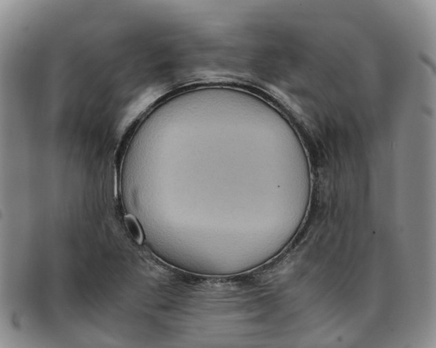 X0000097461269200803141843