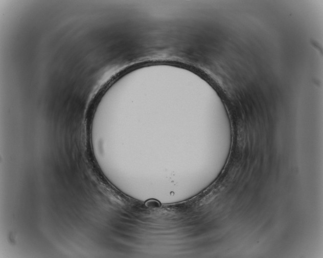 X0000097461270200803141843