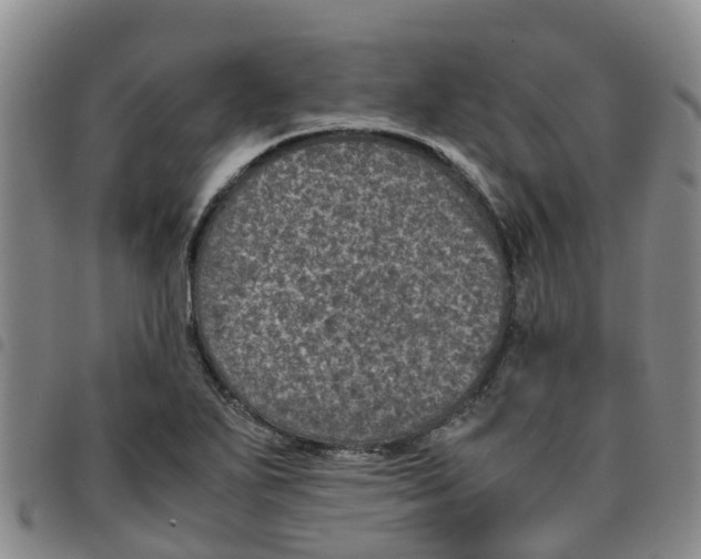 X0000097461271200803141843