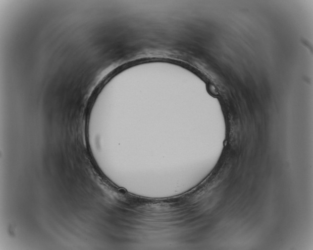 X0000097461272200803141843