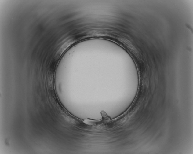 X0000097461273200803141843