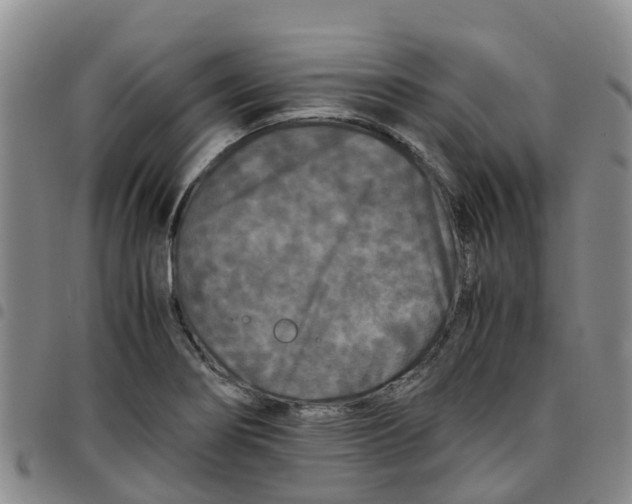 X0000097461274200803141843