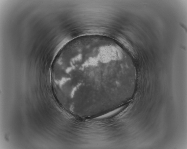 X0000097461275200803141843