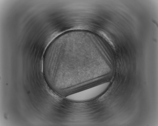 X0000097461276200803141843