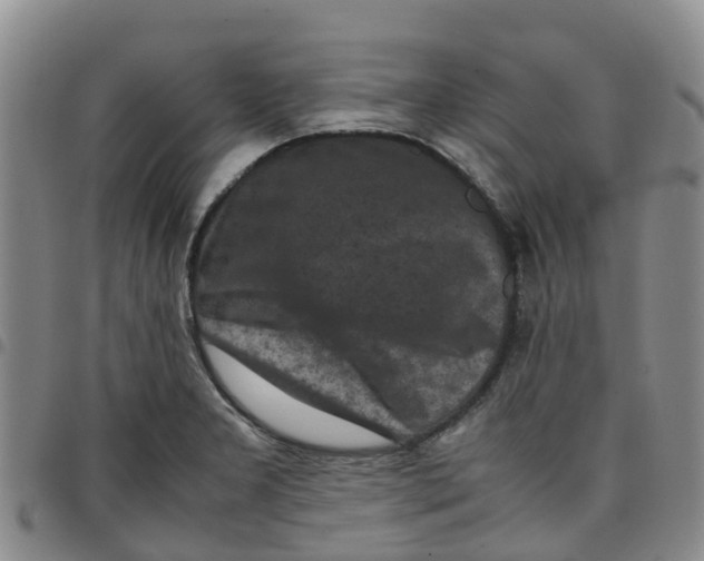 X0000097461277200803141843