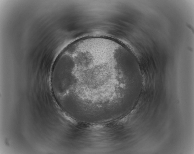 X0000097461278200803141843