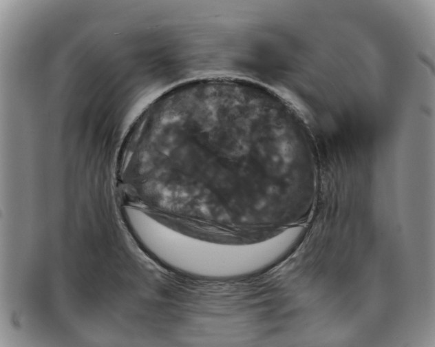 X0000097461279200803141843