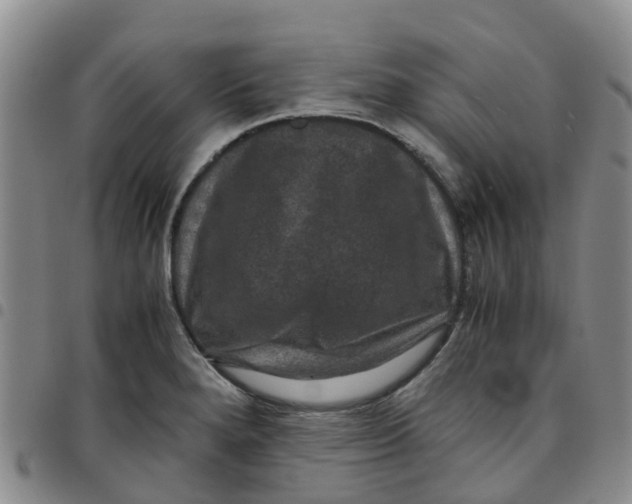 X0000097461280200803141843