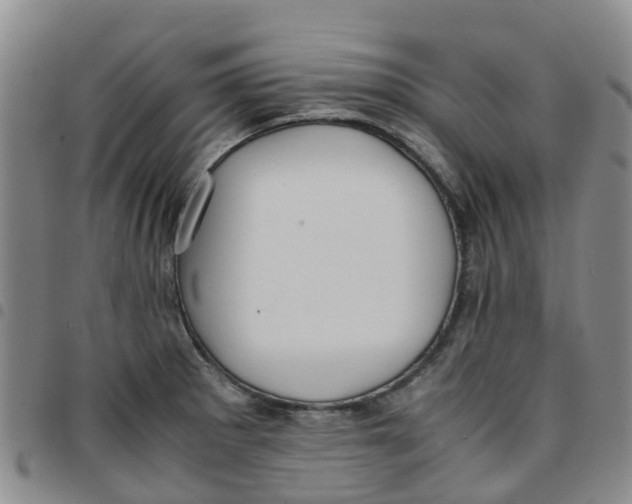 X0000097461281200803141843