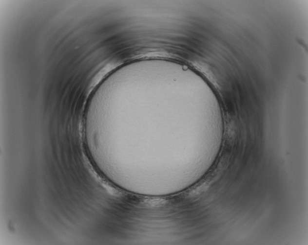 X0000097461282200803141843