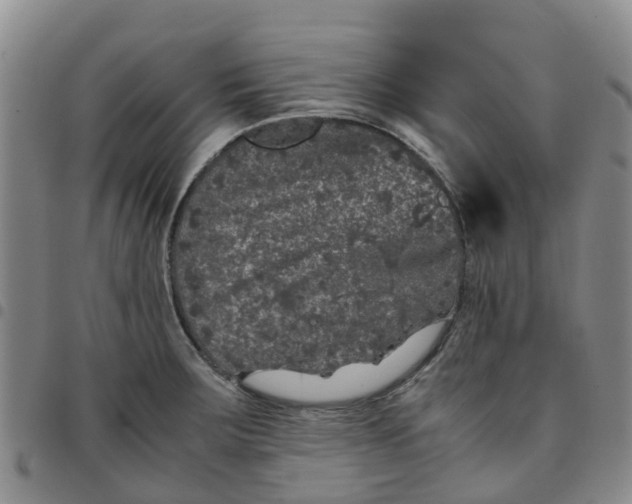 X0000097461283200803141843