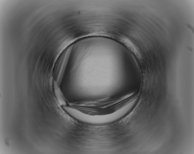 X0000097461284200803141843