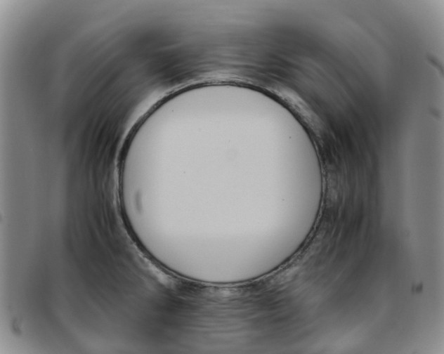 X0000097461286200803141843