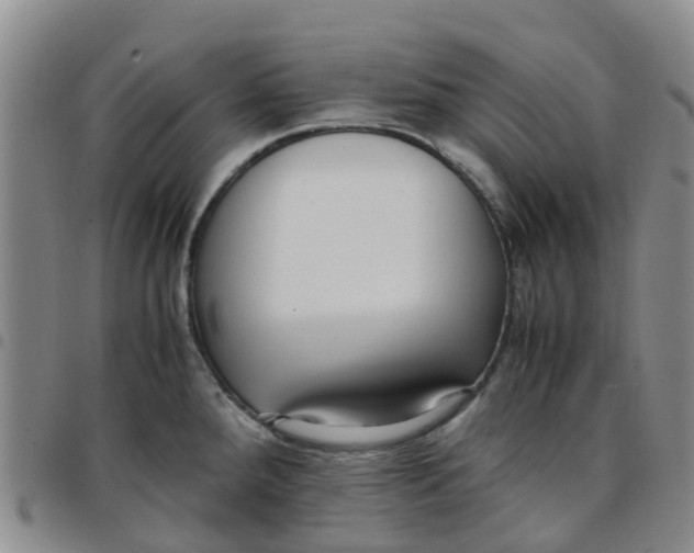 X0000097461288200803141843