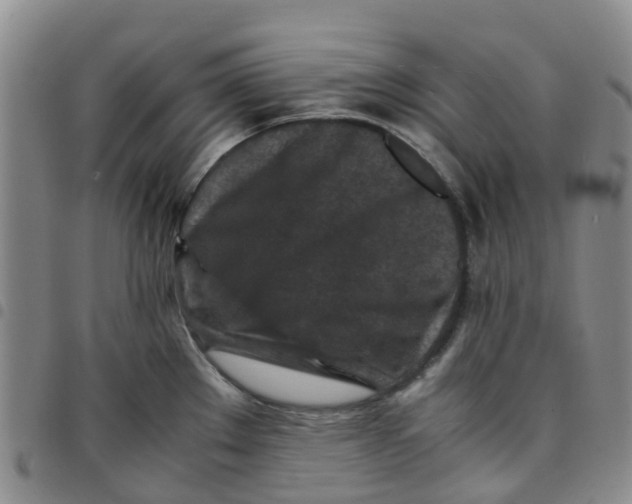 X0000097461289200803141843