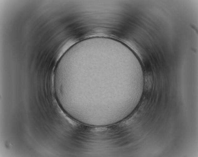 X0000097461290200803141843