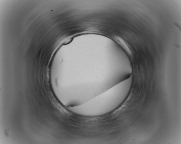 X0000097461292200803141843