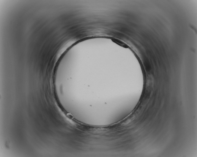 X0000097461293200803141843