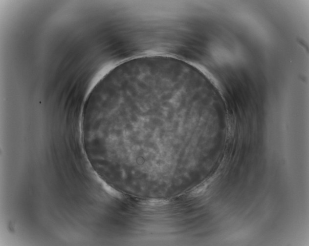 X0000097461294200803141843