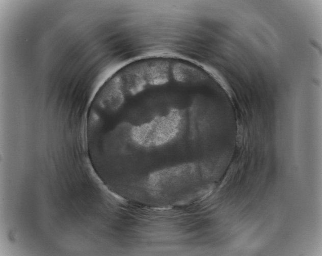 X0000097461295200803141843