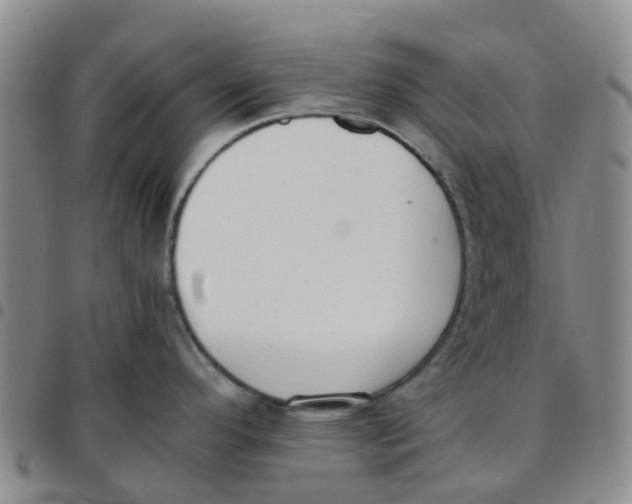 X0000097461296200803141843