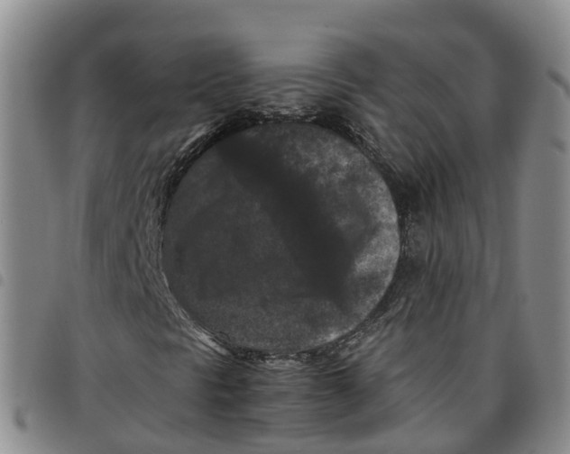 X0000097461297200803141842