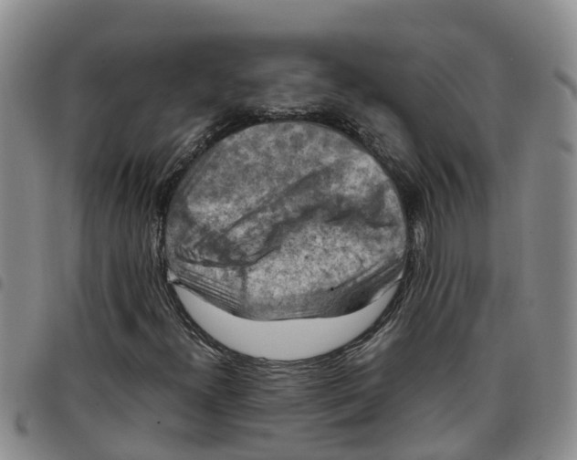 X0000097461300200803141842