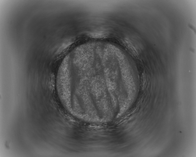 X0000097461301200803141842